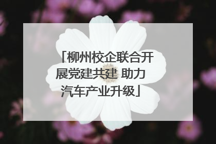 柳州校企联合开展党建共建 助力汽车产业升级