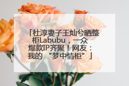 杜淳妻子王灿兮晒整柜Labubu，一众爆款IP齐聚！网友：我的 “梦中情柜”