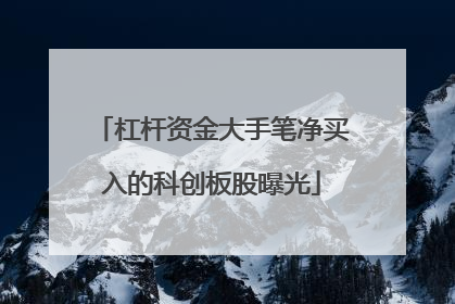 杠杆资金大手笔净买入的科创板股曝光