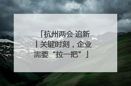 杭州两会·追新丨关键时刻，企业需要“拉一把”