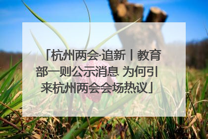 杭州两会·追新丨教育部一则公示消息 为何引来杭州两会会场热议