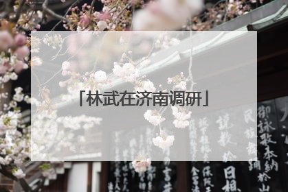 林武在济南调研