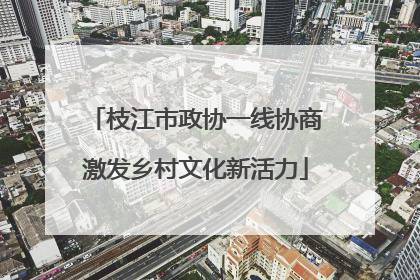 枝江市政协一线协商激发乡村文化新活力