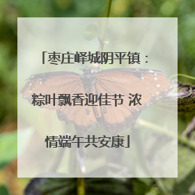 枣庄峄城阴平镇：粽叶飘香迎佳节 浓情端午共安康