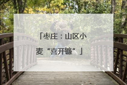 枣庄：山区小麦“喜开镰”
