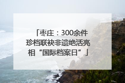 枣庄：300余件珍档联袂非遗绝活亮相“国际档案日”