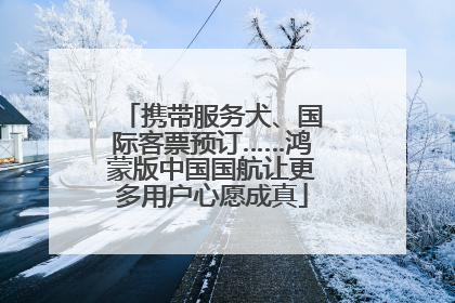 携带服务犬、国际客票预订……鸿蒙版中国国航让更多用户心愿成真