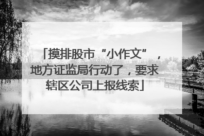 摸排股市“小作文”，地方证监局行动了，要求辖区公司上报线索