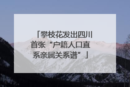 攀枝花发出四川首张“户籍人口直系亲属关系谱”