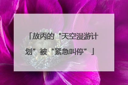敖丙的“天空漫游计划”被“紧急叫停”