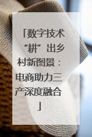 数字技术“耕”出乡村新图景：电商助力三产深度融合