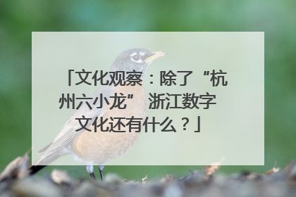 文化观察：除了“杭州六小龙” 浙江数字文化还有什么？