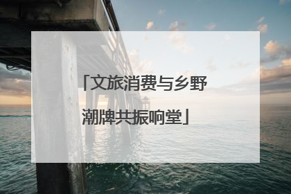 文旅消费与乡野潮牌共振响堂