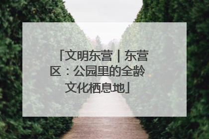 文明东营｜东营区：公园里的全龄文化栖息地