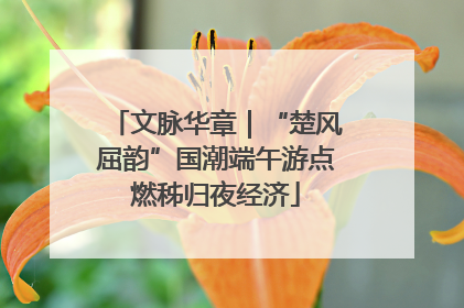 文脉华章｜“楚风屈韵”国潮端午游点燃秭归夜经济