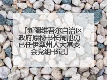 新疆维吾尔自治区政府原秘书长周旭勇已任伊犁州人大常委会党组书记