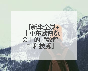 新华全媒+丨中东欧博览会上的“数智”科技秀