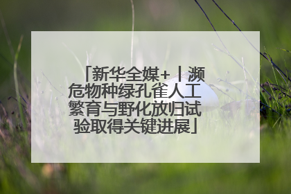 新华全媒+丨濒危物种绿孔雀人工繁育与野化放归试验取得关键进展