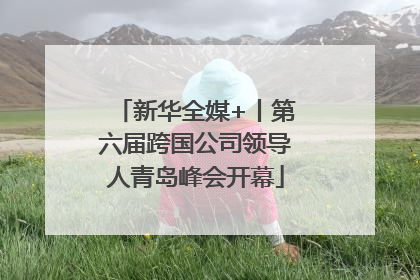 新华全媒+丨第六届跨国公司领导人青岛峰会开幕