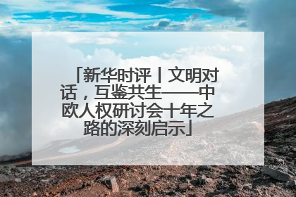 新华时评丨文明对话，互鉴共生——中欧人权研讨会十年之路的深刻启示