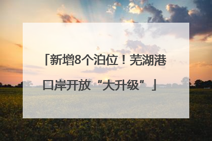 新增8个泊位！芜湖港口岸开放“大升级”