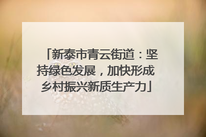 新泰市青云街道：坚持绿色发展，加快形成乡村振兴新质生产力