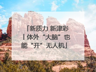 新质力 新津彩丨体外“大脑”也能“开”无人机