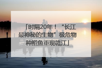 时隔20年！“长江最神秘的生物”极危物种鳤鱼重现赣江