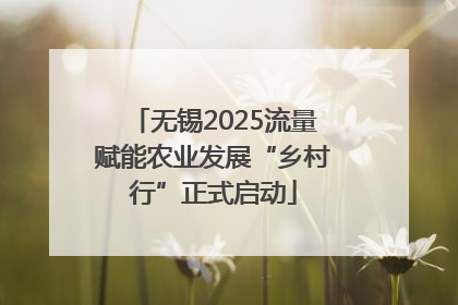 无锡2025流量赋能农业发展“乡村行”正式启动