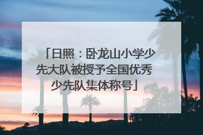日照：卧龙山小学少先大队被授予全国优秀少先队集体称号