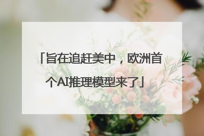 旨在追赶美中，欧洲首个AI推理模型来了