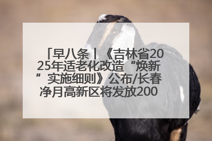 早八条丨《吉林省2025年适老化改造“焕新”实施细则》公布/长春净月高新区将发放200万元汽车消费券！