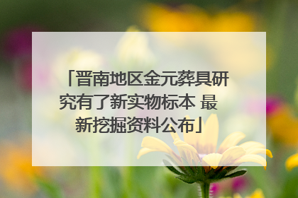 晋南地区金元葬具研究有了新实物标本 最新挖掘资料公布