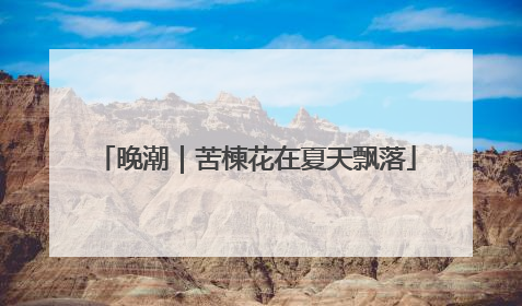 晚潮｜苦楝花在夏天飘落