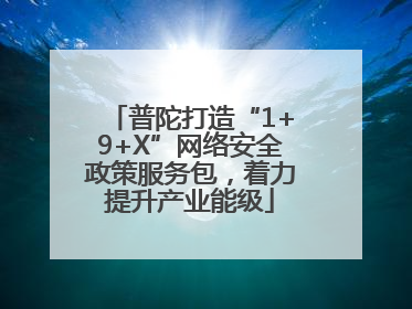 普陀打造“1+9+X”网络安全政策服务包，着力提升产业能级