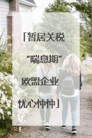 暂居关税“喘息期” 欧盟企业忧心忡忡