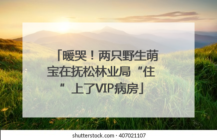 暖哭！两只野生萌宝在抚松林业局“住”上了VIP病房