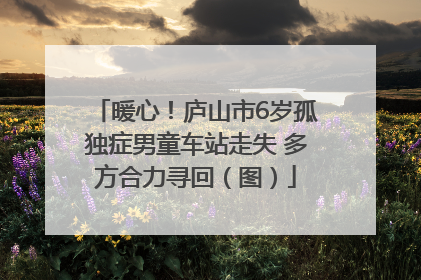 暖心！庐山市6岁孤独症男童车站走失 多方合力寻回（图）