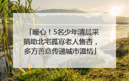 暖心！5名少年清晨采摘助北宅孤寡老人售杏，多方善意传递城市温情