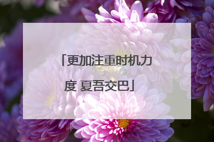 更加注重时机力度 夏吾交巴
