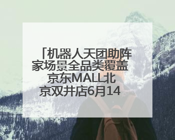 机器人天团助阵家场景全品类覆盖 京东MALL北京双井店6月14日启幕