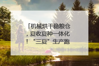 机械烘干稳粮仓，夏收夏种一体化！“三夏”生产跑出加速度｜麦报