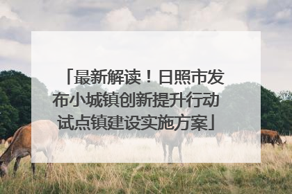 最新解读！日照市发布小城镇创新提升行动试点镇建设实施方案