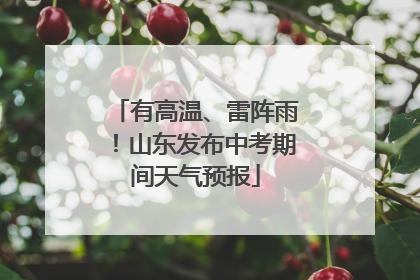 有高温、雷阵雨！山东发布中考期间天气预报