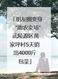 朋友圈变身“助农卖场” 武陵源区黄家坪村5天销出4000斤包菜