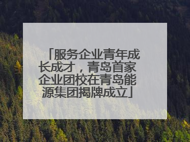 服务企业青年成长成才，青岛首家企业团校在青岛能源集团揭牌成立