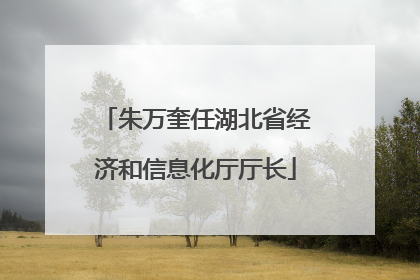 朱万奎任湖北省经济和信息化厅厅长