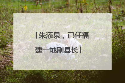 朱添泉，已任福建一地副县长