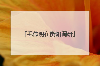毛伟明在衡阳调研