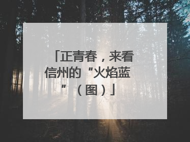 正青春，来看信州的“火焰蓝”（图）